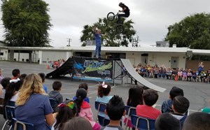 BMX Assembly - article thumnail image
